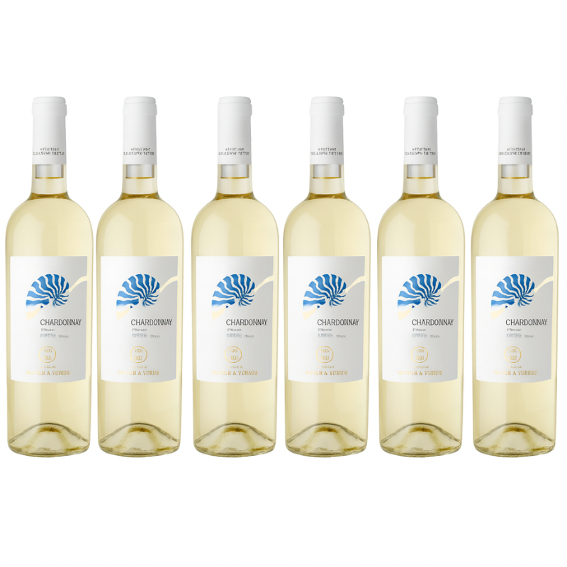 Vecchia Torre Chardonnay Salento Bianco