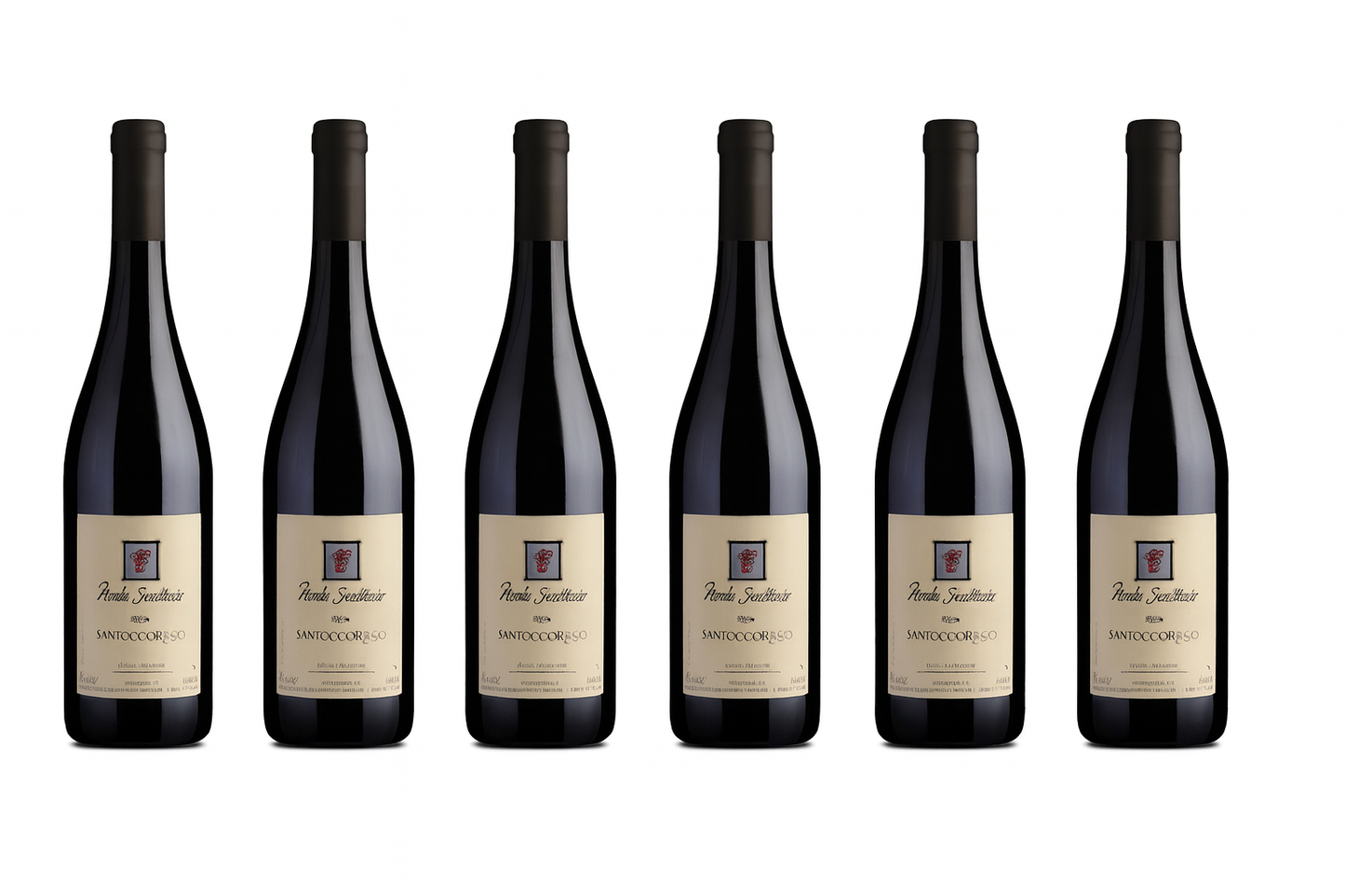 Monte Santoccio – Santocciorosso Veronese I.G.P.