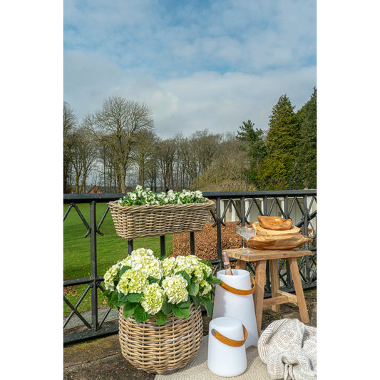 House Nordic - Bristol LED Lampe