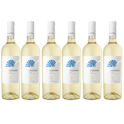 Vecchia Torre Chardonnay Salento Bianco