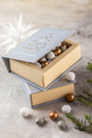 Grey christmas book